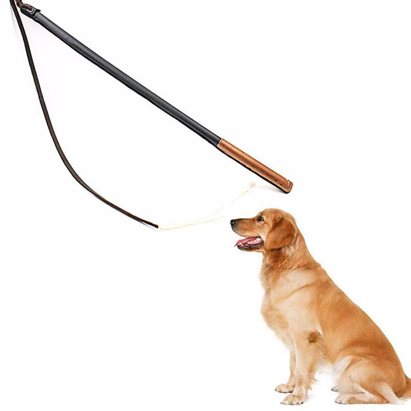  Canine Heeling Stick